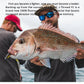 Daiwa J-FLUOROCARBON Leader Line